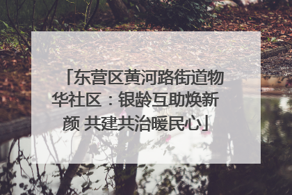 东营区黄河路街道物华社区：银龄互助焕新颜 共建共治暖民心