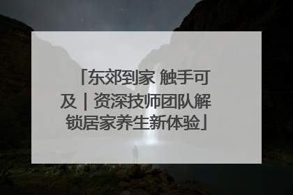 东郊到家 触手可及｜资深技师团队解锁居家养生新体验