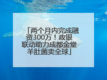 两个月内完成融资300万！政银联动助力成都金堂羊肚菌卖全球