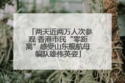 两天近两万人次参观 香港市民“零距离”感受山东舰航母编队雄伟英姿
