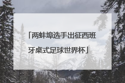 两蚌埠选手出征西班牙桌式足球世界杯
