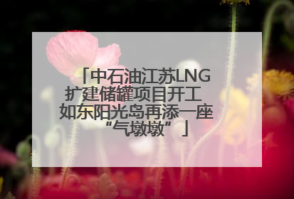 中石油江苏LNG扩建储罐项目开工 如东阳光岛再添一座“气墩墩”