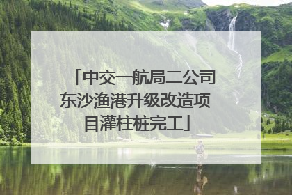 中交一航局二公司东沙渔港升级改造项目灌柱桩完工
