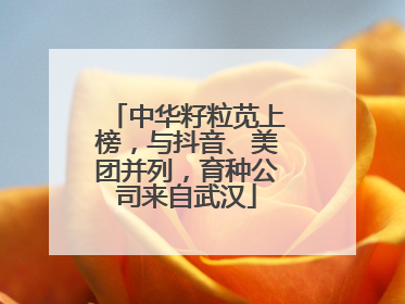 中华籽粒苋上榜，与抖音、美团并列，育种公司来自武汉