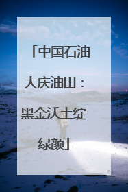 中国石油大庆油田：黑金沃土绽绿颜