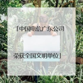 中国电信广东公司荣获全国文明单位