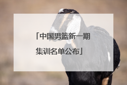中国男篮新一期集训名单公布