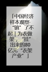 中国经济样本观察·“镇”了不起｜为衣做架，“挂”出来的80亿元“衣架产业”