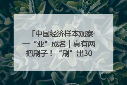 中国经济样本观察·一“业”成名｜真有两把刷子！“刷”出30亿级“颜值经济”