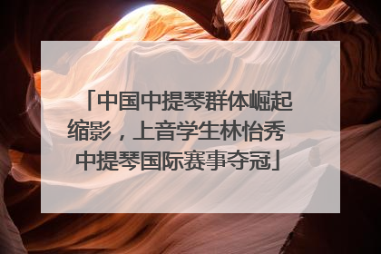中国中提琴群体崛起缩影，上音学生林怡秀中提琴国际赛事夺冠