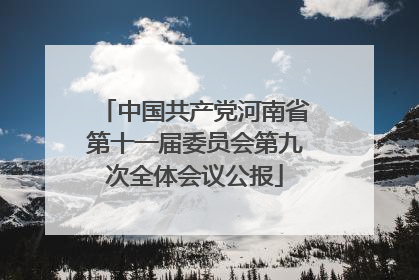 中国共产党河南省第十一届委员会第九次全体会议公报