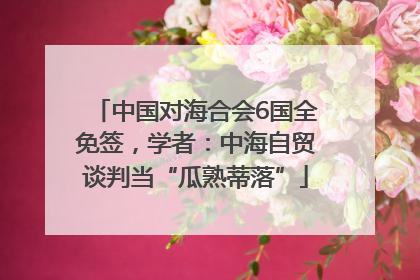 中国对海合会6国全免签，学者：中海自贸谈判当“瓜熟蒂落”
