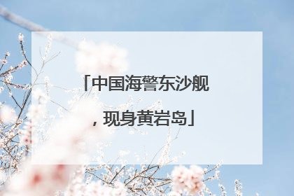 中国海警东沙舰，现身黄岩岛