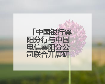 中国银行襄阳分行与中国电信襄阳分公司联合开展研学共建活动