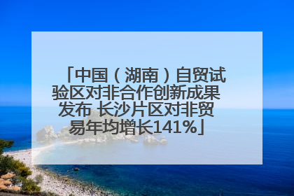 中国（湖南）自贸试验区对非合作创新成果发布 长沙片区对非贸易年均增长141%