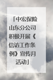 中宏保险山东分公司积极开展《信访工作条例》宣传月活动