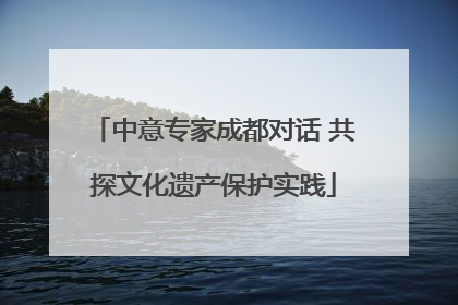 中意专家成都对话 共探文化遗产保护实践
