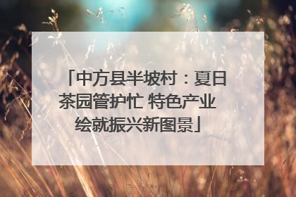 中方县半坡村：夏日茶园管护忙 特色产业绘就振兴新图景