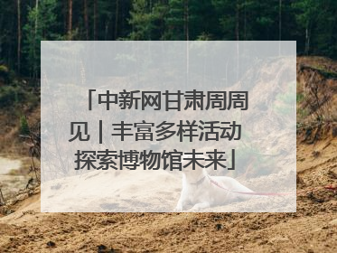 中新网甘肃周周见｜丰富多样活动探索博物馆未来