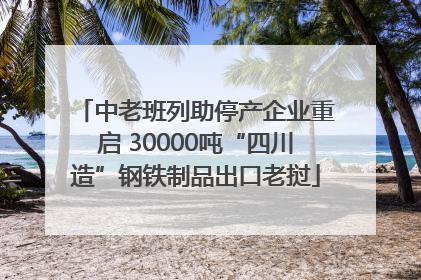 中老班列助停产企业重启 30000吨“四川造”钢铁制品出口老挝