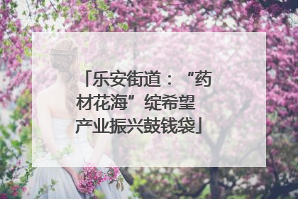 乐安街道：“药材花海”绽希望 产业振兴鼓钱袋