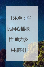 乐至：军民同心插秧忙 助力乡村振兴