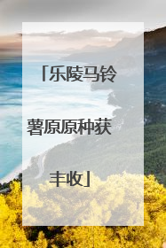 乐陵马铃薯原原种获丰收
