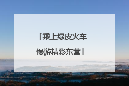 乘上绿皮火车 慢游精彩东营