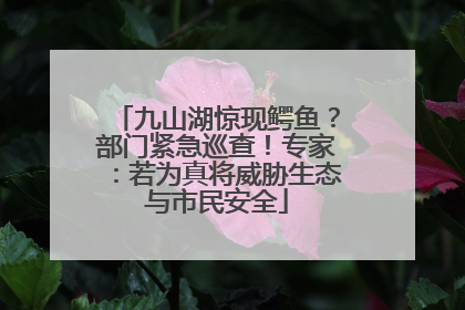 九山湖惊现鳄鱼？部门紧急巡查！专家：若为真将威胁生态与市民安全