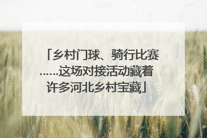 乡村门球、骑行比赛……这场对接活动藏着许多河北乡村宝藏