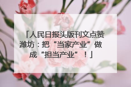 人民日报头版刊文点赞潍坊：把“当家产业”做成“担当产业”！