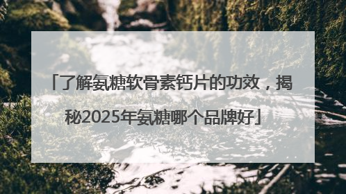 了解氨糖软骨素钙片的功效，揭秘2025年氨糖哪个品牌好