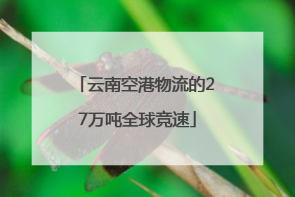 云南空港物流的27万吨全球竞速