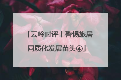 云岭时评丨警惕旅居同质化发展苗头④