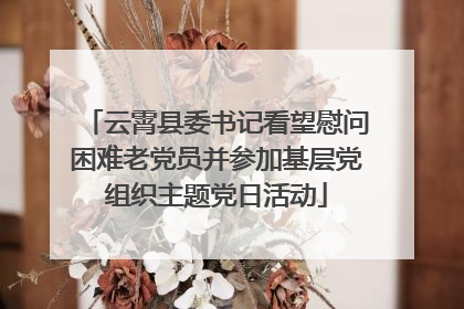 云霄县委书记看望慰问困难老党员并参加基层党组织主题党日活动