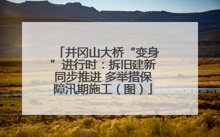 井冈山大桥“变身”进行时：拆旧建新同步推进 多举措保障汛期施工（图）