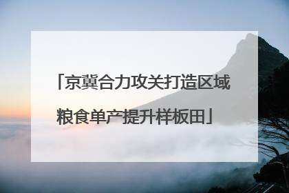 京冀合力攻关打造区域粮食单产提升样板田