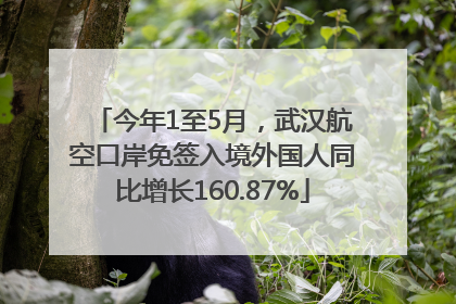 今年1至5月，武汉航空口岸免签入境外国人同比增长160.87%