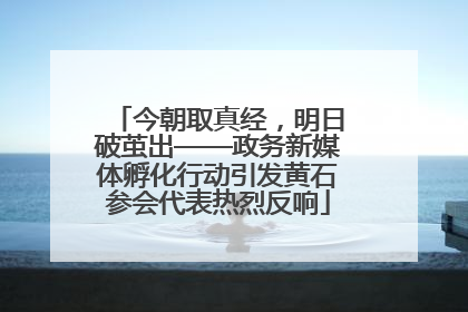 今朝取真经，明日破茧出——政务新媒体孵化行动引发黄石参会代表热烈反响