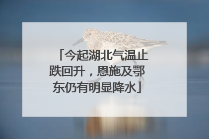 今起湖北气温止跌回升，恩施及鄂东仍有明显降水