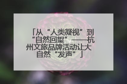 从“人类凝视”到“自然回望”——杭州文旅品牌活动让大自然“发声”