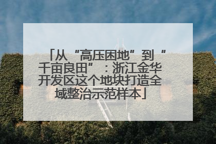 从“高压困地”到“千亩良田”：浙江金华开发区这个地块打造全域整治示范样本