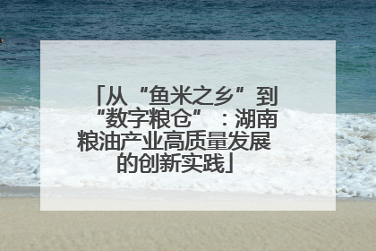 从“鱼米之乡”到“数字粮仓”：湖南粮油产业高质量发展的创新实践