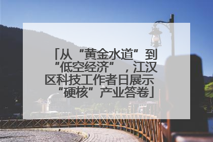 从“黄金水道”到“低空经济”，江汉区科技工作者日展示“硬核”产业答卷