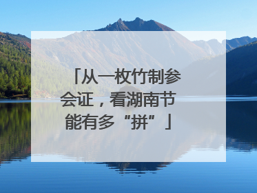 从一枚竹制参会证，看湖南节能有多“拼”