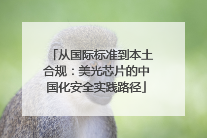 从国际标准到本土合规：美光芯片的中国化安全实践路径