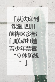 从法庭到课堂 四川前锋区多部门联动打造青少年禁毒“立体防线”