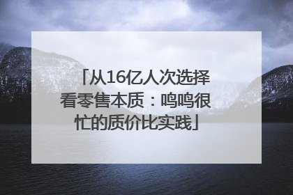 从16亿人次选择看零售本质：鸣鸣很忙的质价比实践