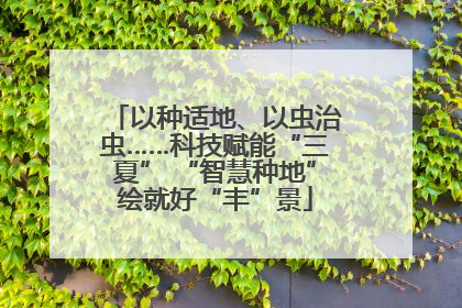以种适地、以虫治虫……科技赋能“三夏” “智慧种地”绘就好“丰”景