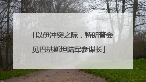 以伊冲突之际，特朗普会见巴基斯坦陆军参谋长